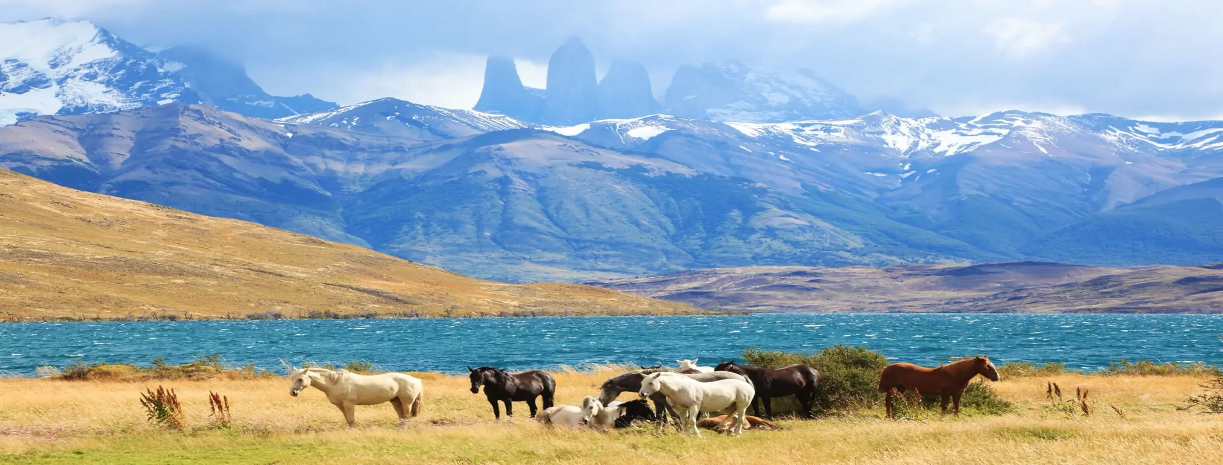 Image for Majestic Peaks